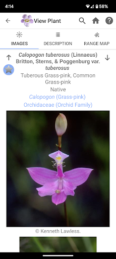 Screenshot of Flora of Virginia
