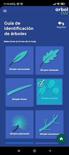 Android application Arbol CUU screenshort