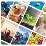 Cover Image of Download Picture Quiz: World  APK