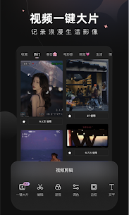 Wink Pro – Editor de Videos 5