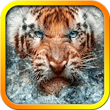 Angry Tiger Live Wallpaper icon