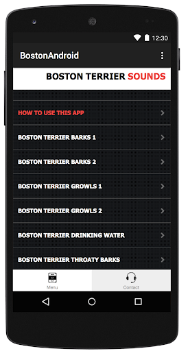 Boston Terrier Dog Sounds