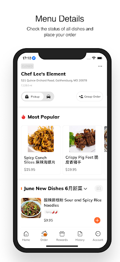 Chef Lees Element Screen 2
