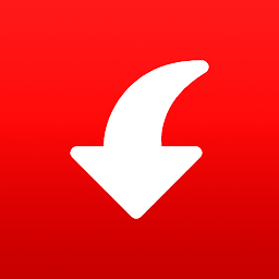 Icon image Pinterest Video Downloader