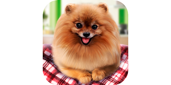 可愛い子犬 ミニースピツドッグライブシム Google Play のアプリ
