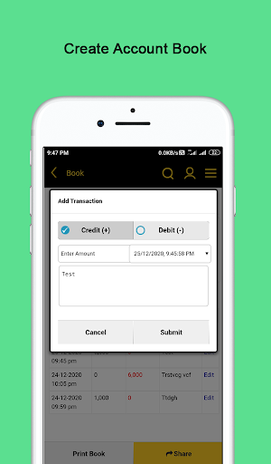 Account Manager - Credit and Debit Manager