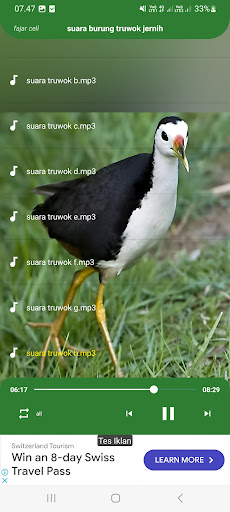 Android application suara burung truwok jernih screenshort