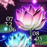 a2-Asian Lotus Flowers icon