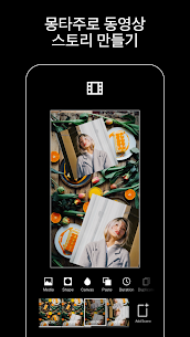 VSCO: 사진 및 동영상 편집기 (잠금 해제) 423 2