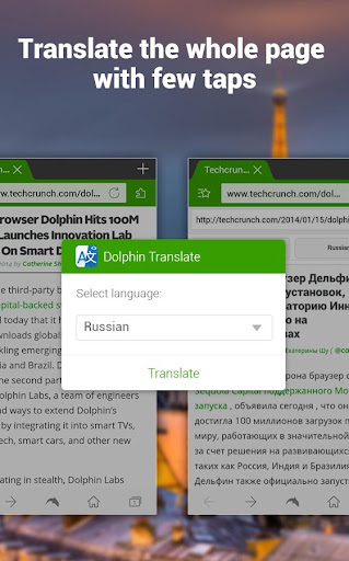 Dolphin  YeeCloud Translate