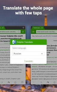 Dolphin | YeeCloud Translate For PC installation