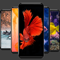 Fish wallpapers-4k Backgrounds