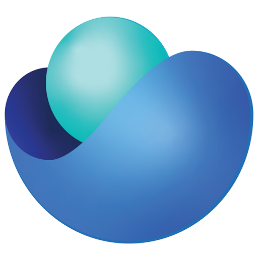 BSV AER logo