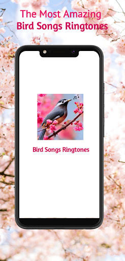 Android application Bird Songs ringtones screenshort