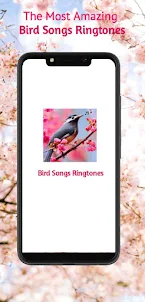 Bird Songs ringtones