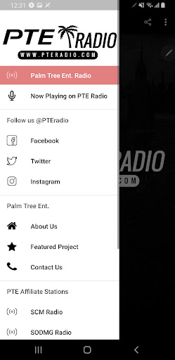 Palm Tree Ent. Radio Screen 3