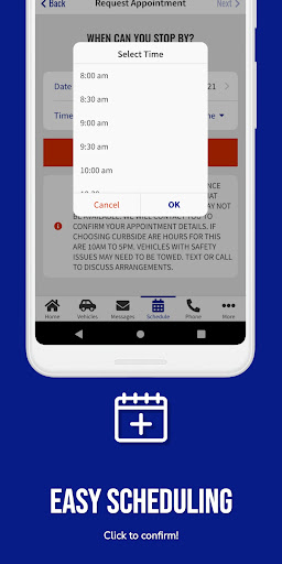 Screenshot of Schmidt Auto Care
