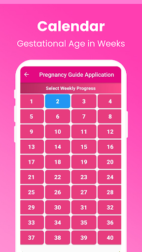 Pregnancy Guide - A Mom 4