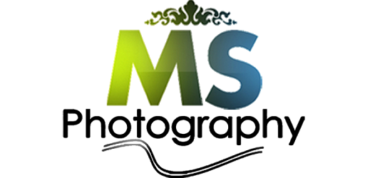 Ms Photography View Share Photo Album Apps On Google Play