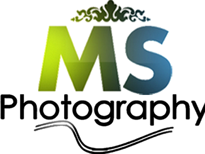 [最も人気のある！] photography m s logo design 241923