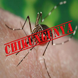 Chikungunya Treatment icon