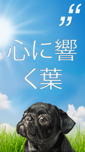 アプリのプレビュー