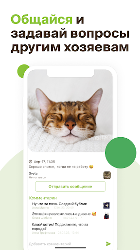 ЗооКлик: соцсеть и объявления Screen 2