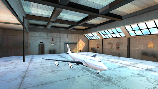 เกมเครื่องบินบินจริง