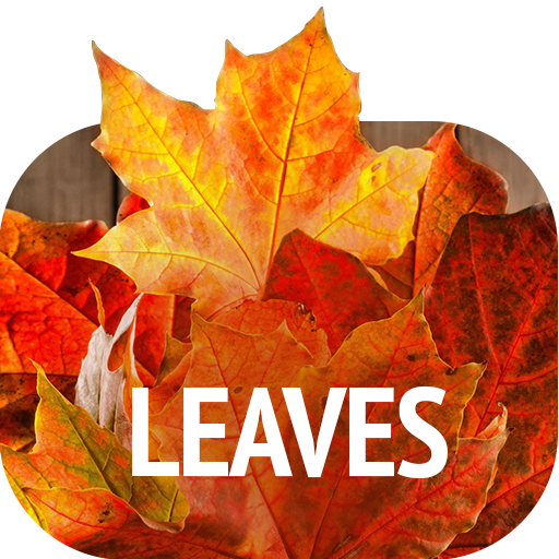 Leaves Wallpapers 1.4.2 Icon