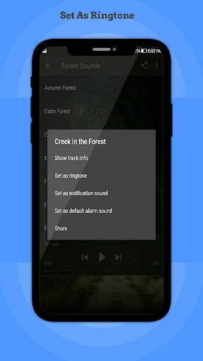 Forest Sounds Screen 3