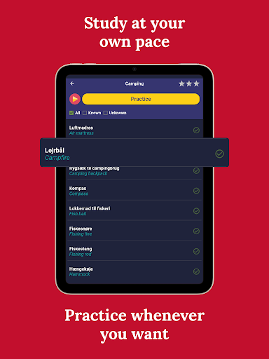 Learn Danish - Beginners screenshot 16