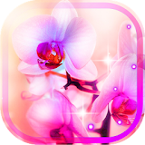 Orchid Love icon