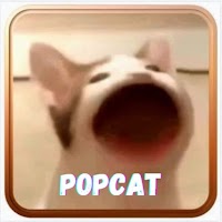 POPCAT 2021