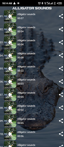 Alligator sounds Screen 2