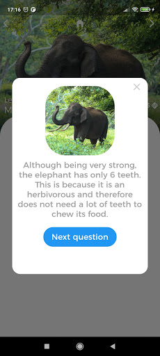 Animals Quest - Fun Quiz Screen 3
