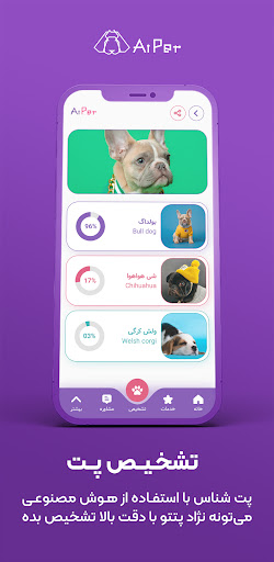 AiPet Screen 2