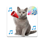 Real Cat Sounds icon