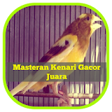 Masteran Kenari Gacor Juara icon