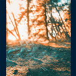 Cover Image of Download HD Background Photo Editing 1.3 APK