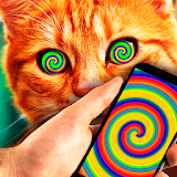Hypnosis Cat Simulator icon