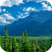 Landscape Video Wallpapers