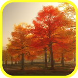 Colorful Autumn Live Wallpaper icon