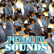 Penguin Sounds Ringtone Collection