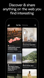Artifact: Feed Your Curiosity 4