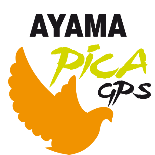 Ayama Pointer Pica