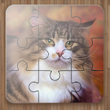 Cat Puzzle Games Free icon
