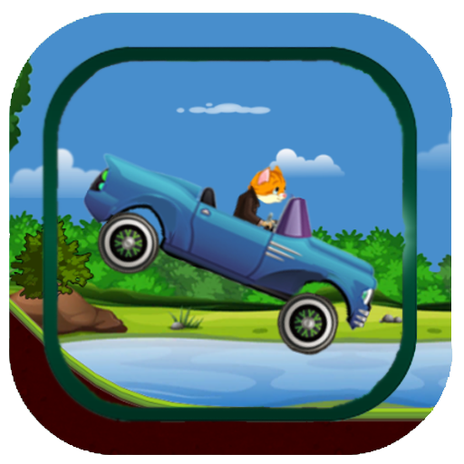 Hill Royal Cat Adventure