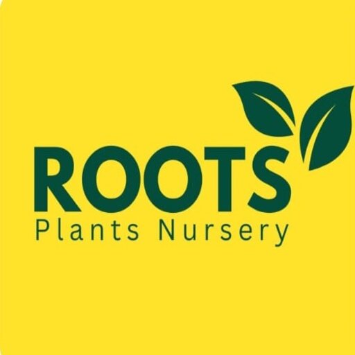 Roots - Google Play 앱