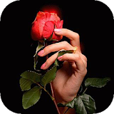 Rose in hand LWP icon