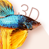 Betta Fish 3D Free - 3D Live W 2.0.7